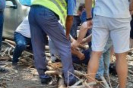 Bakıda ağac aşdı, bir nəfər xəsarət aldı - FOTO