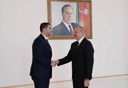 Prezident ATƏT-in fəaliyyətdə olan sədrini qəbul edib
