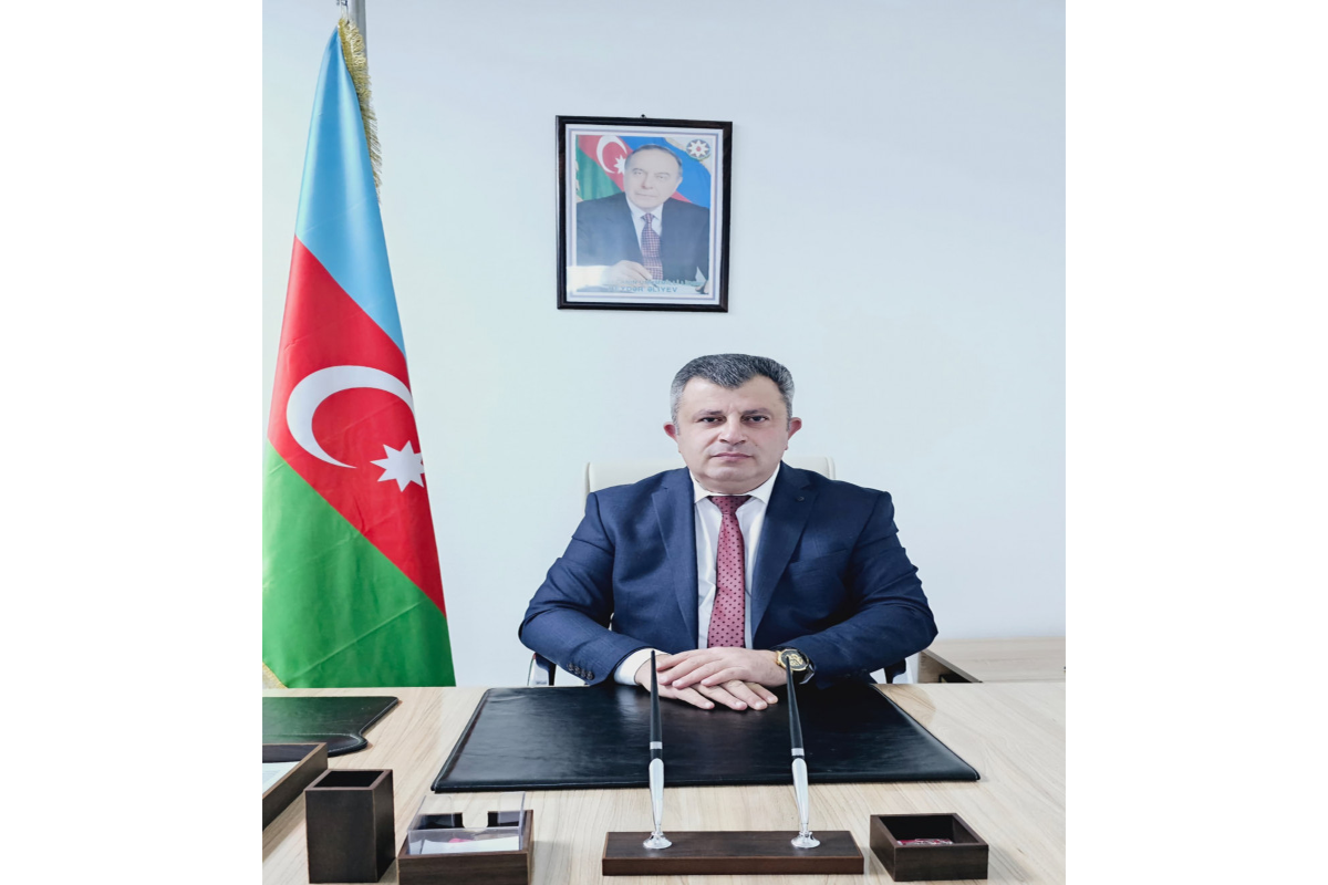 Sifarişli yazılar Elnur Azadxanovun nüfuzunu sarsıda bilməz